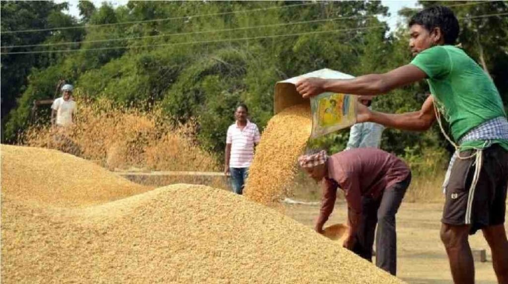 CG News : CG धान खरीदी समाप्त, 2.41 लाख किसान अभी भी धान बेचने को वंचित CG News