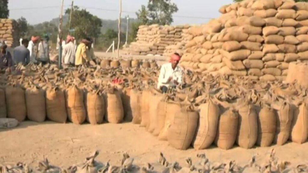 CG NEWS : CG धान खरीदी महासमुंद बना प्रदेश में नंबर-1, किसानों के भुगतान में रचा इतिहास
