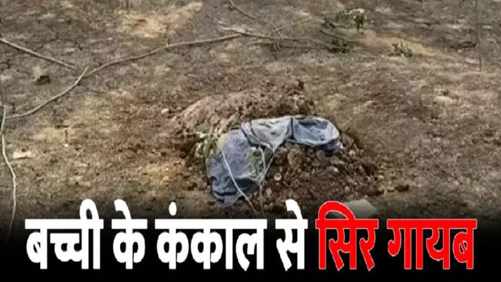 CG NEWS : महाशिवरात्रि की रात श्मशान में तंत्र-मंत्र का खौफनाक खेल, बच्ची की कब्र खोदकर सिर ले गए तांत्रिक